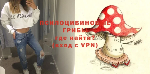 эйфоретик Новозыбков