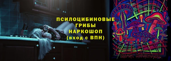 сатива Новодвинск