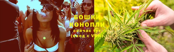 эйфоретик Новозыбков