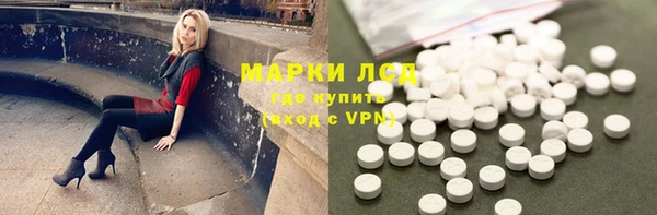 сатива Новодвинск