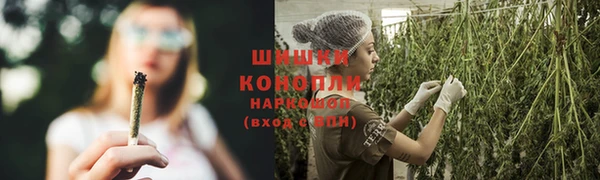 трава Новокубанск
