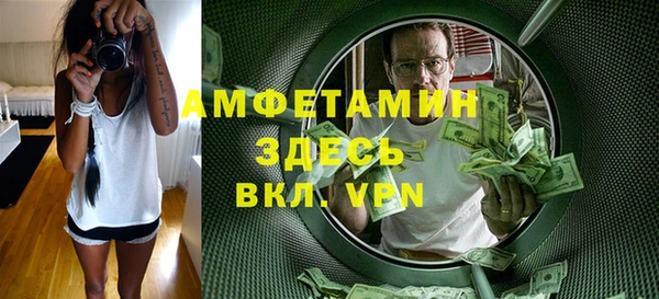 сатива Новодвинск