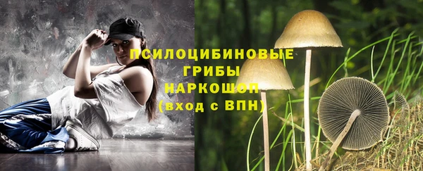 трава Новокубанск