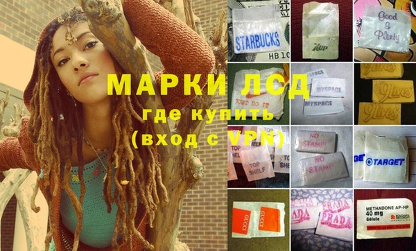 сатива Новодвинск