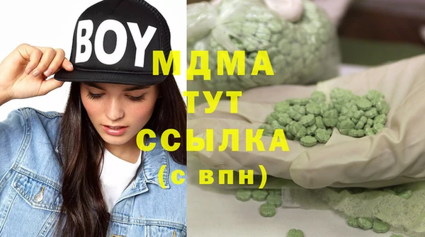 сатива Новодвинск