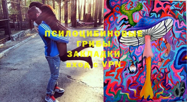 трава Новокубанск