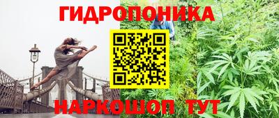 мяу мяу мука Гусь-Хрустальный