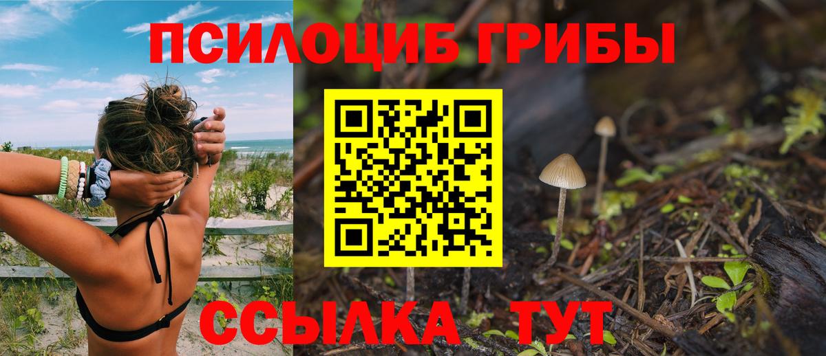 Ульяновск  Галлюциногенные грибы MAGIC MUSHROOMS  Галлюциногенные грибы GOLDEN TEACHER  Вход с VPN 